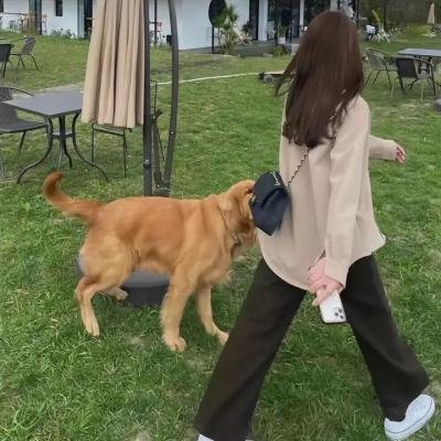 还是很爱她